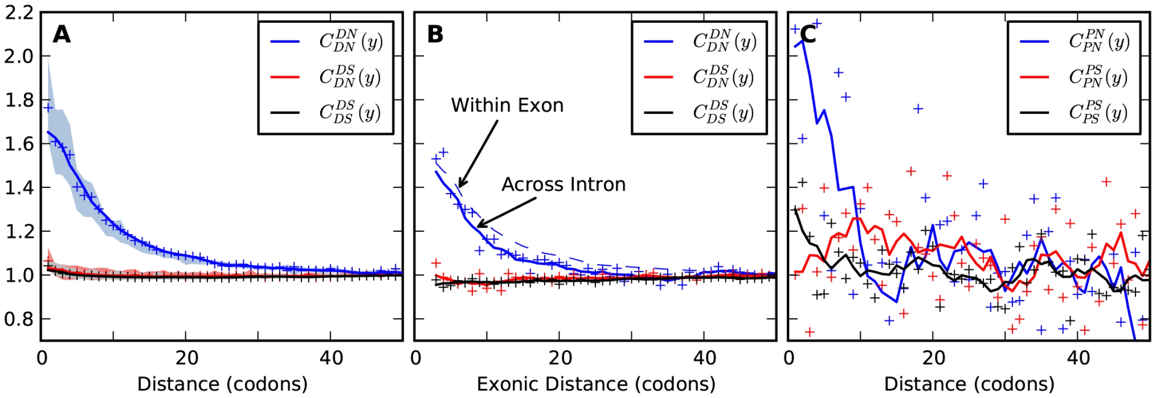 The frequency of additional substitutions near a focal substitution.
