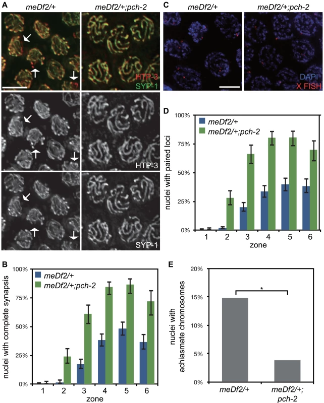 Mutation of <i>pch-2</i> suppresses synapsis defects in <i>meDf2</i> heterozygotes.