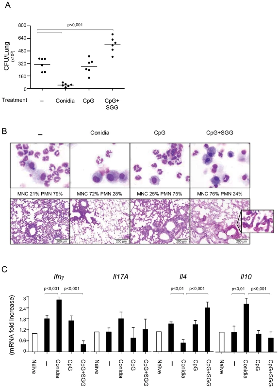 Vaccine potential of the urea soluble galactosaminogalactan (SGG) of <i>A. fumigatus</i> against invasive pulmonary aspergillosis.