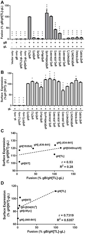 Regulation of cell-cell fusion by gH is dependent on cytoplasmic domain length but motif independent.