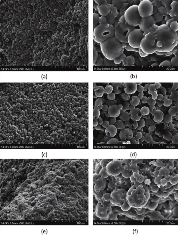 The scanning electron microscope images (a) (b) – E1-200, (c) (d) – E1-600, (e) (f) – E0.1-600