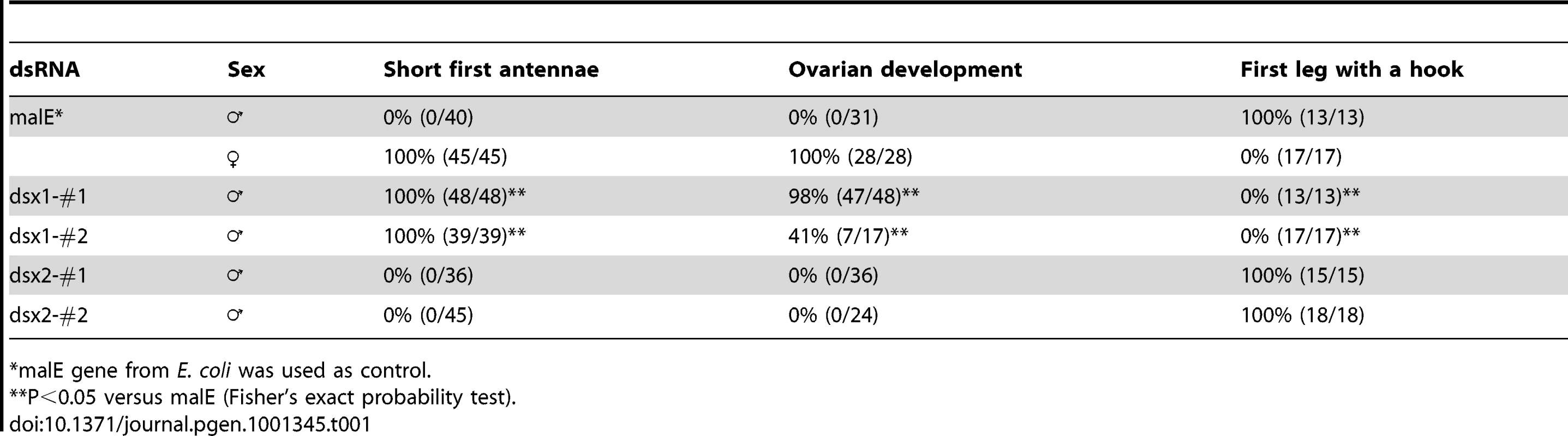 Summary of RNA interference using dsRNA.