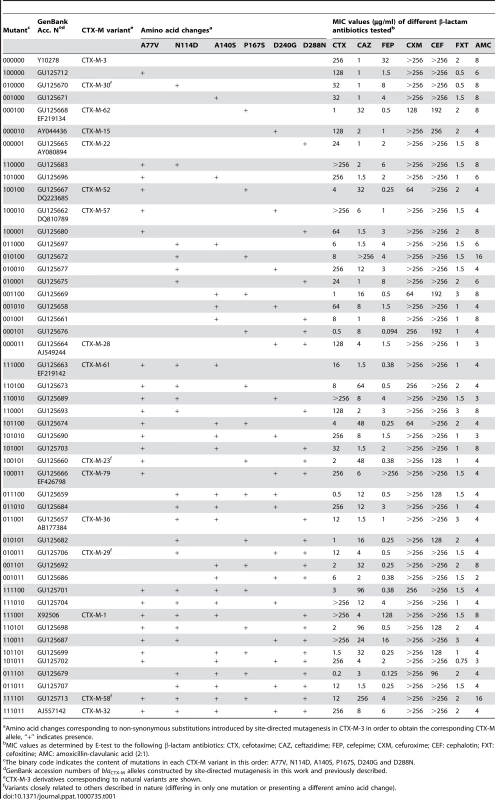 Amino acid changes and β-lactam MIC values associated with CTX-M-3 derivatives constructed in this study.
