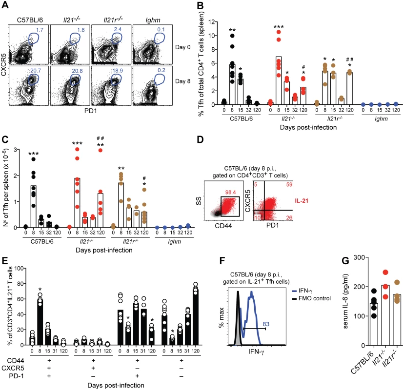 IL-21-producing Tfh cells are activated during acute <i>P</i>. <i>chabaudi</i> infection.