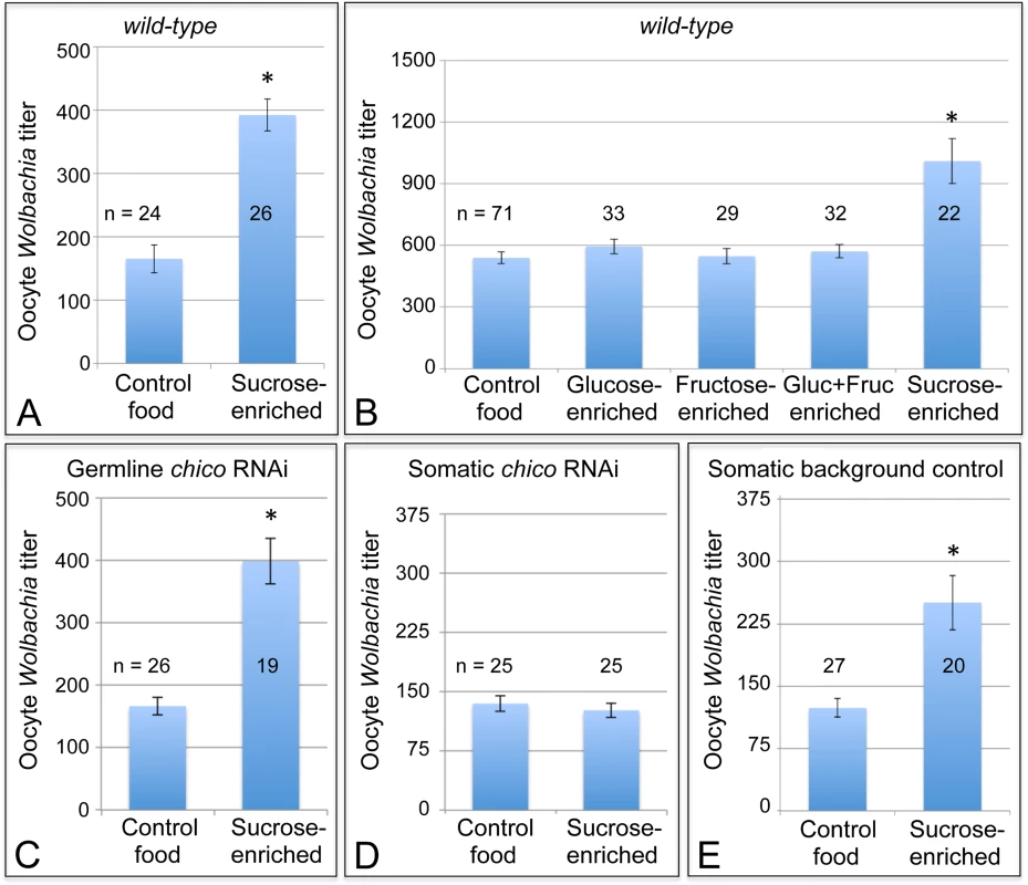 Sucrose-enriched food elevates oocyte <i>Wolbachia</i> titer in a <i>chico</i>-dependent manner.