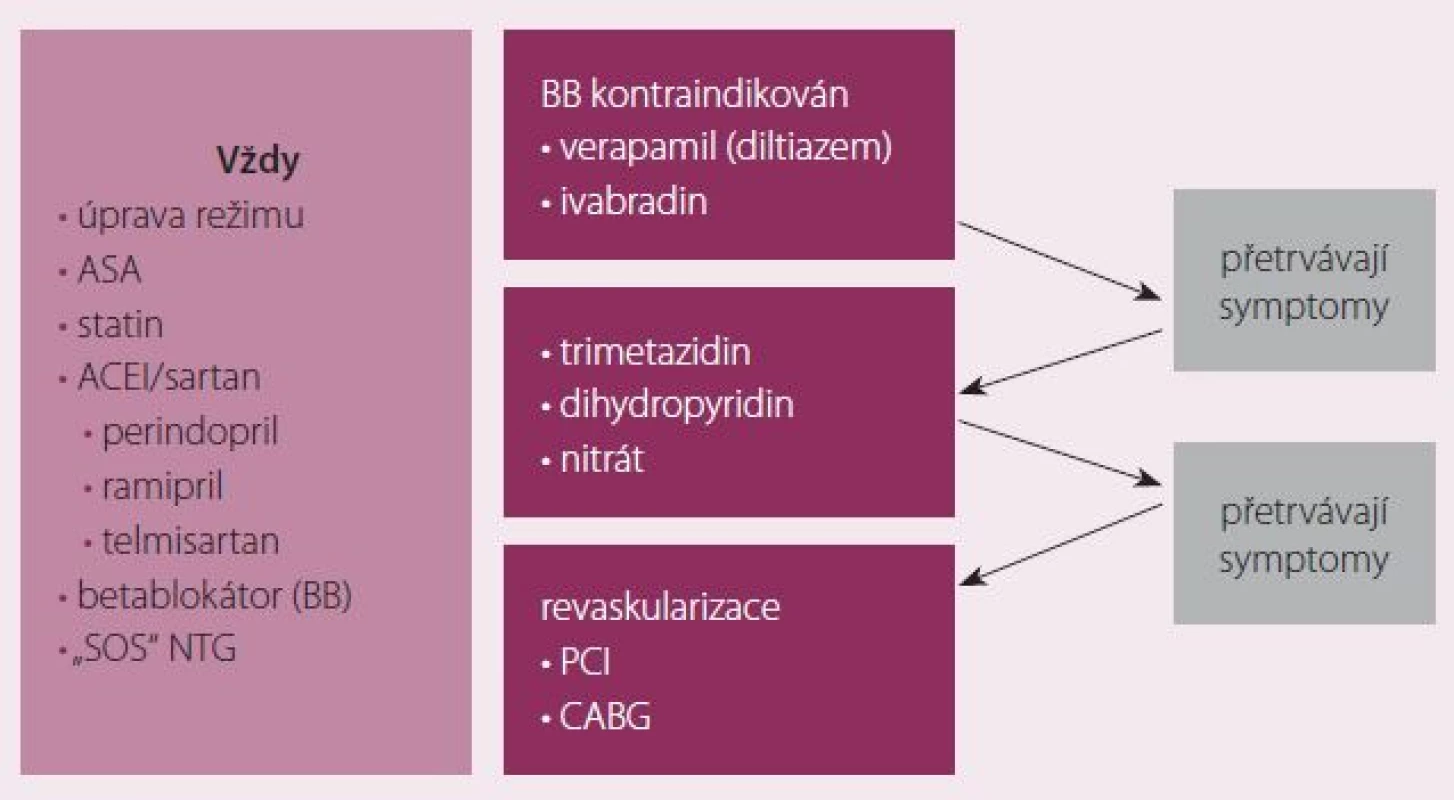 Strategie léčby námahové anginy pectoris.