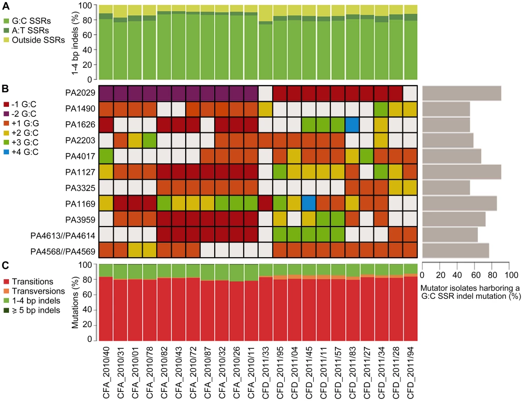 Mutational spectra and top mutated homopolymeric G∶C SSRs in CFA_2010 and CFD_2011 contemporary isolates.