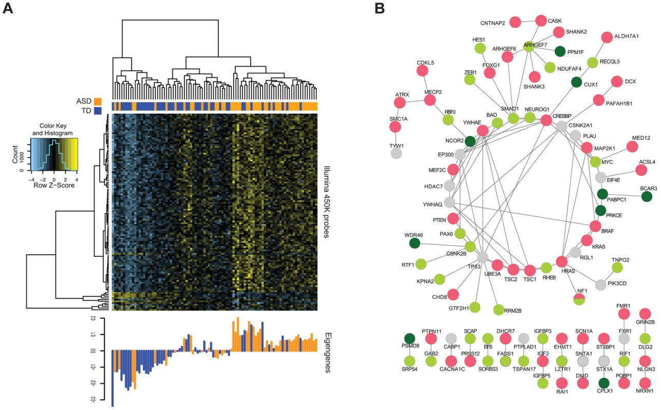 Methylation of CGs in WGCNA modules associated with ASD status.