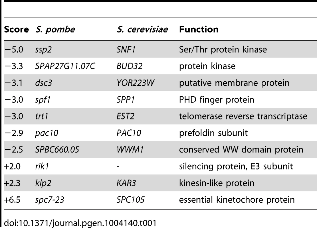 Quantitative epistatic miniarray profiling for <i>bag101</i>Δ.