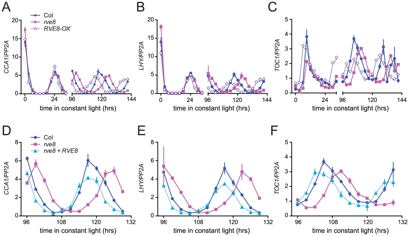 Expression of <i>CCA1</i>, <i>LHY</i>, and <i>TOC1</i> in <i>rve8</i> and <i>RVE8-OX</i>.