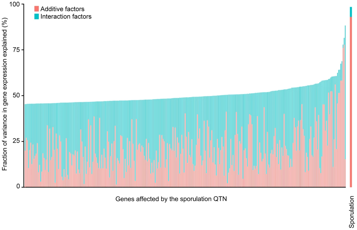 Fraction (%) of sporulation and gene expression variance explained by main <i>(pink)</i> and interaction effects <i>(cyan)</i> of all four sporulation QTN together.