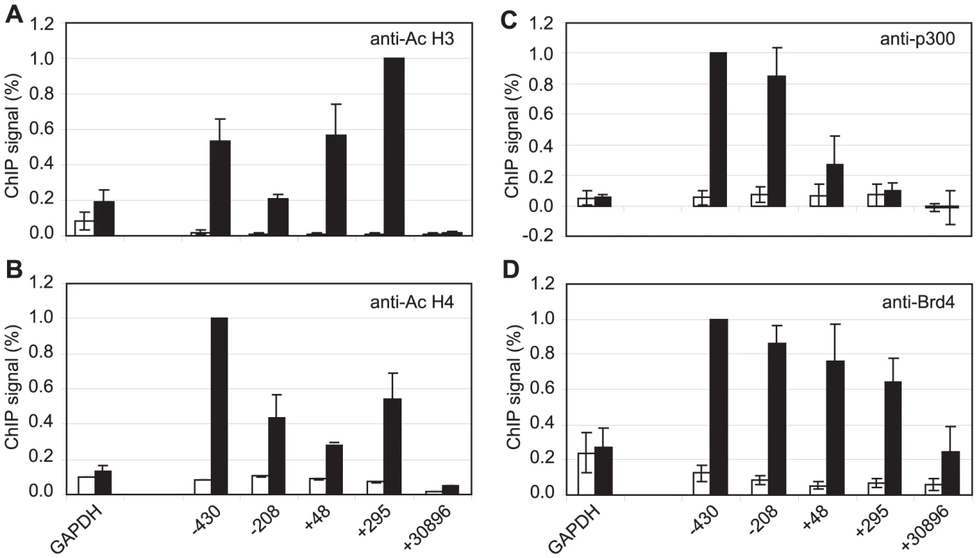 Brd4 is recruited to Cp through acetylated histones.