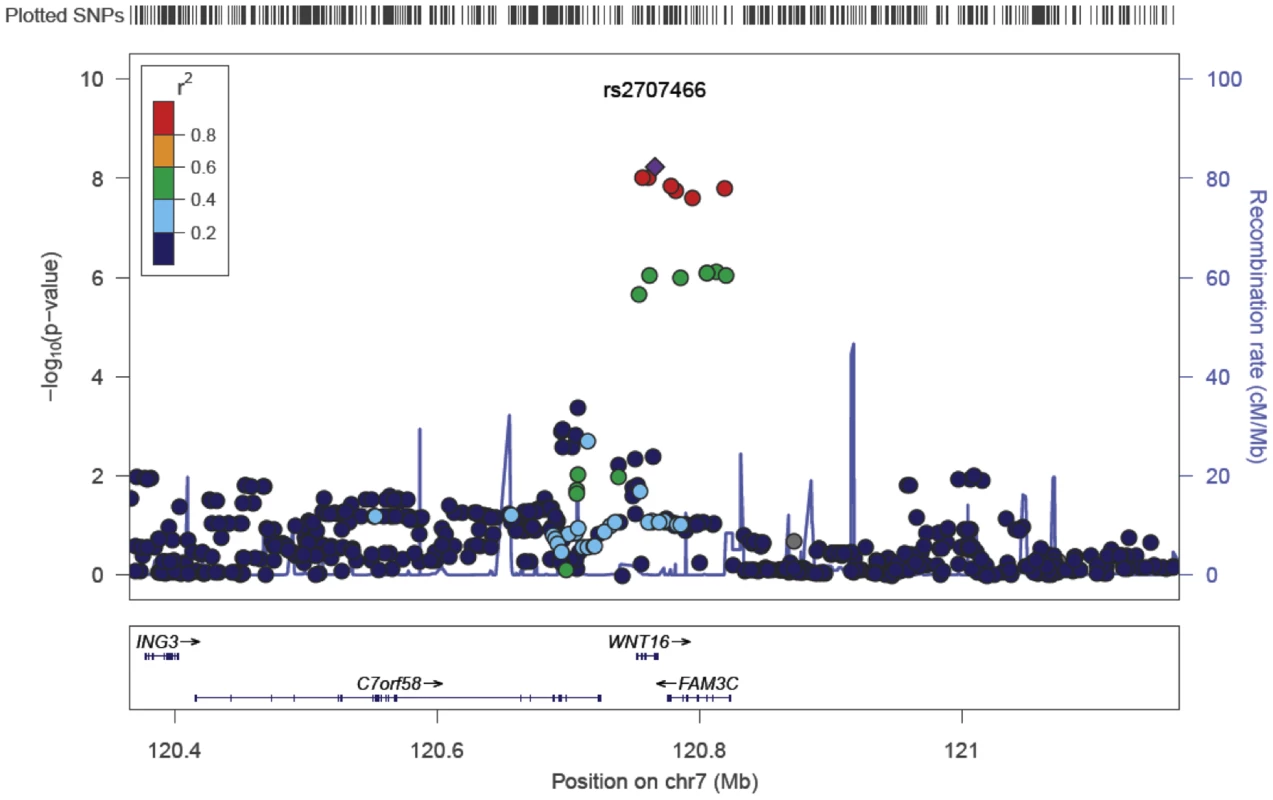 SNP rs2707466 regional association plot of the discovery genome-wide meta-analysis of cortical thickness.