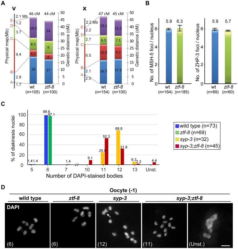ZTF-8 is not required for the regulation of either crossover frequency or distribution.