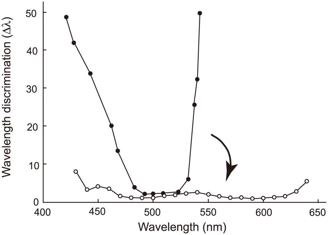 Evolutionary change in the wavelength discrimination by human ancestors.