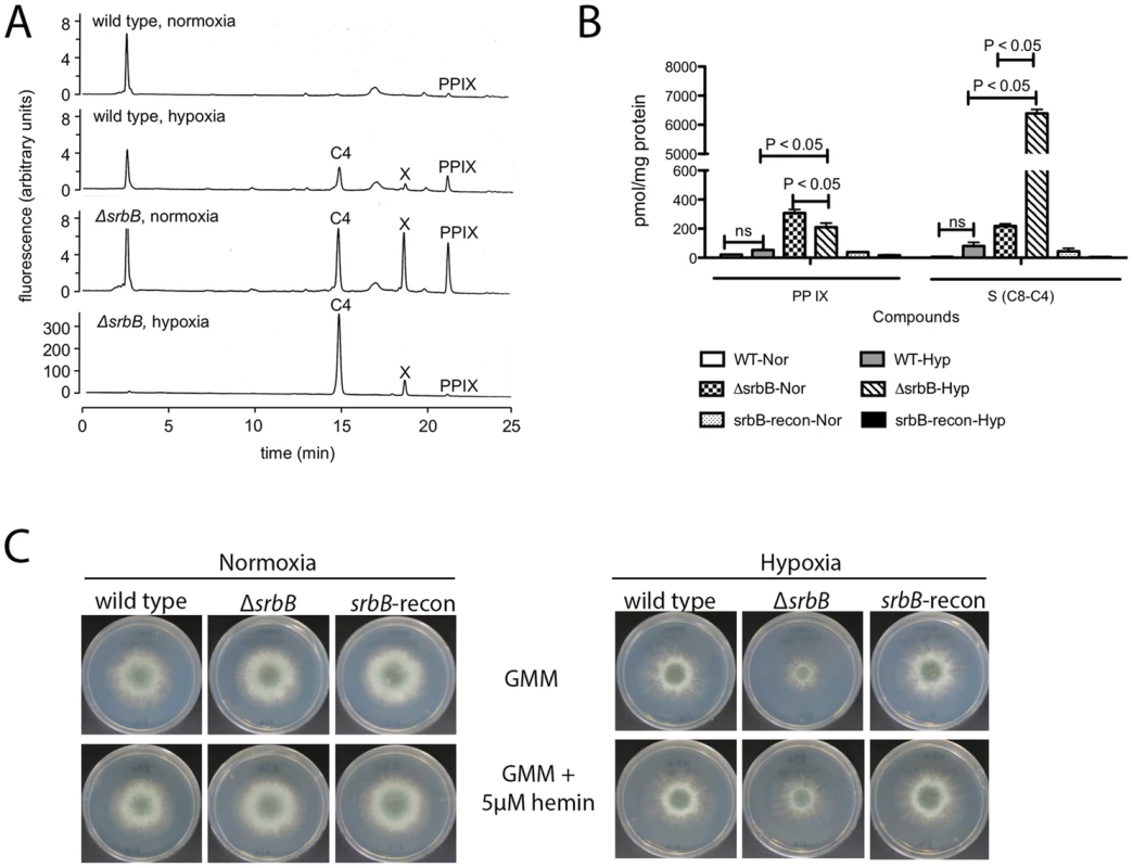 Loss of <i>srbB</i> impairs heme biosynthesis and results in accumulation of heme intermediates.