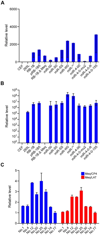 MDV gene expression in infected cells.