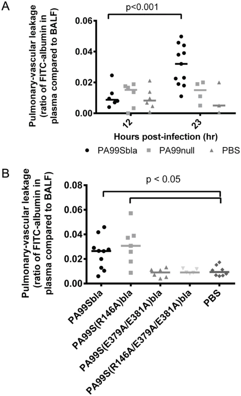 The ADPRT domain of ExoS contributes to disruption of the pulmonary-vascular barrier during pneumonia.