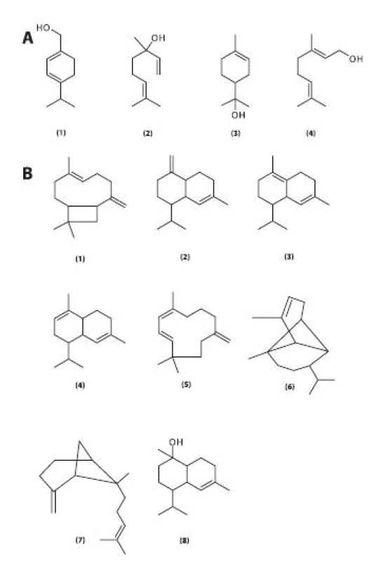 Monoterpenické alkoholy obsažené v silici listů R. hirta (A)
1 – p-menthadien-7-ol, 2 – linalool, 3 – terpineol, 4 – geraniol Seskviterpenické sloučeniny obsažené v silici listů R. hirta (B) Seskviterpenické uhlovodíky (sloučeniny 1–7): 1 – karyofylen, γ –∂δ-kadinen, 3 – δ-kadinen, 4 – α-muurolen, 5 – α-humulen, 6 – α-kopaen, 7 – α-trans-ß-bergamoten
Seskviterpenické alkoholy: 8 – torreyol