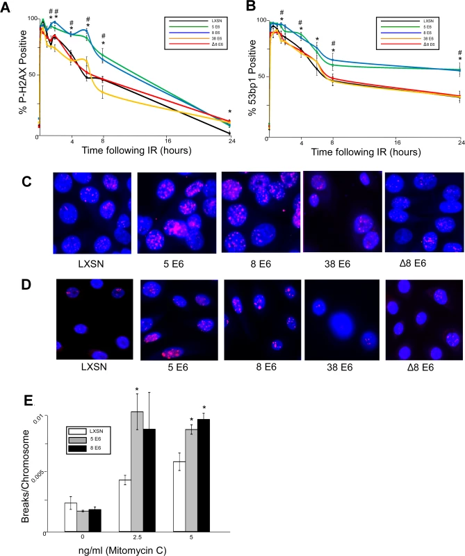 β-HPV 5 and 8 E6 attenuate double strand break repair.