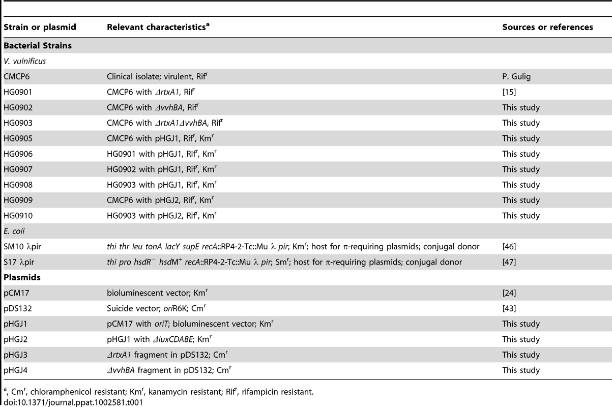 Bacterial strains and plasmids used in this study.