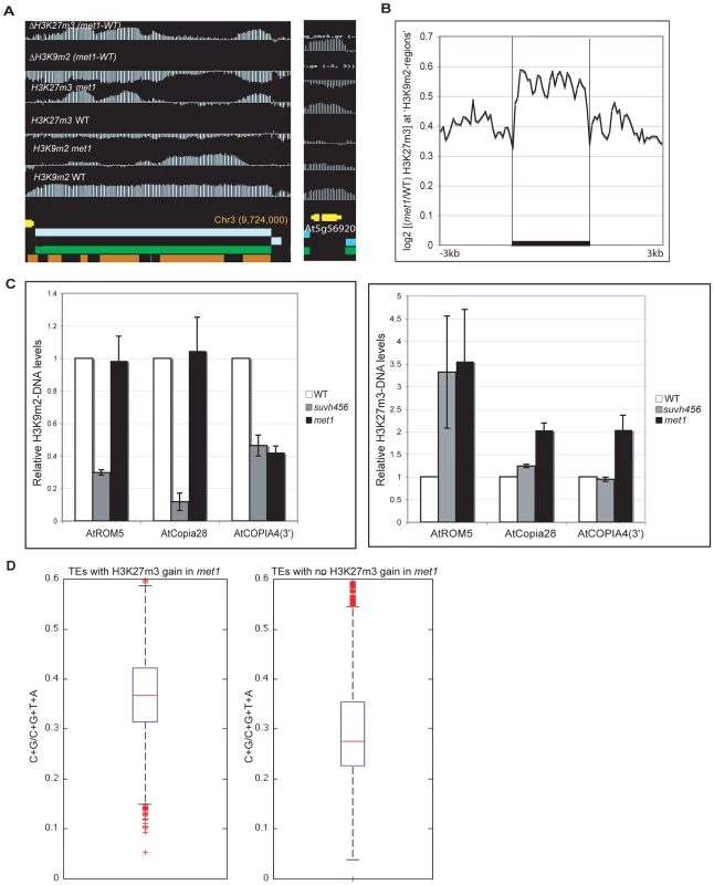 Ectopic gain of H3K27m3 at DNA hypomethylated regions.
