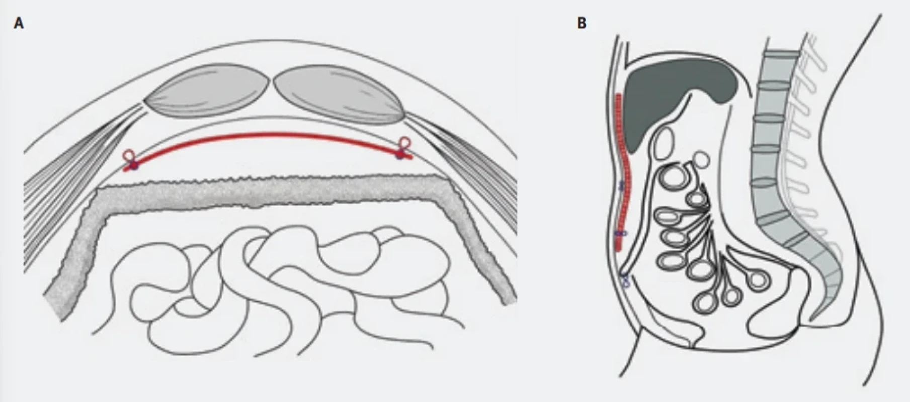  / Fig. 6.