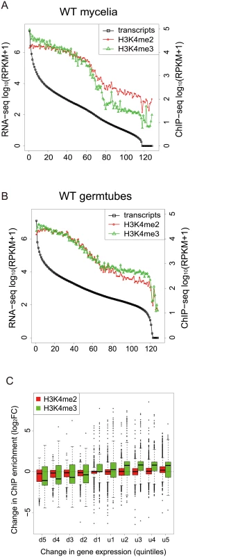 H3K4-me2 and -me3 abundance was generally associated with active transcription.
