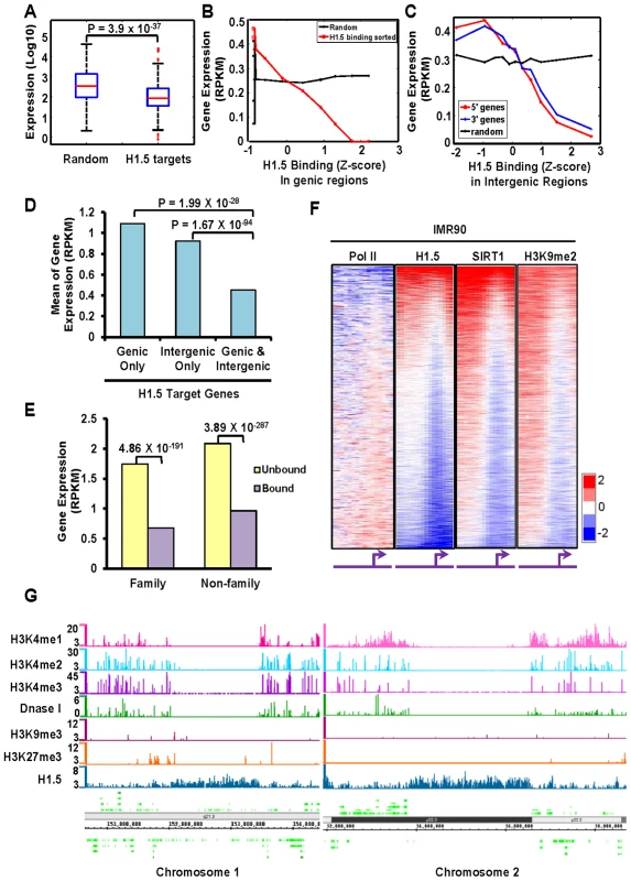 H1.5 is associated with repressed genes.