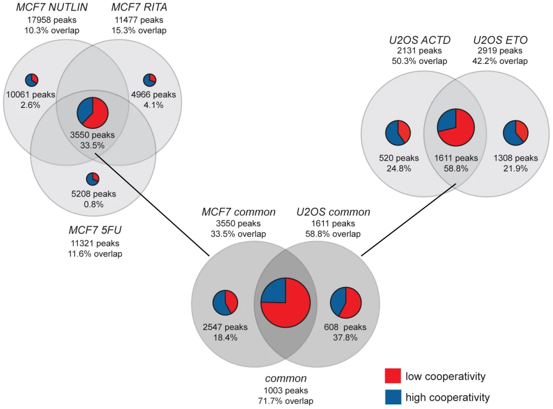 ChIP-seq meta-analysis identifies a role for cooperativity in the context-dependent fine-tuning of the p53 response.