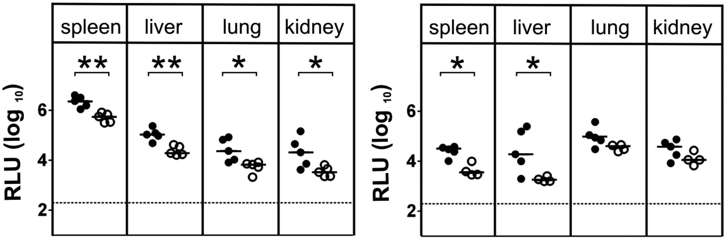 γδ T cells contribute to virus control in immunocompetent animals.