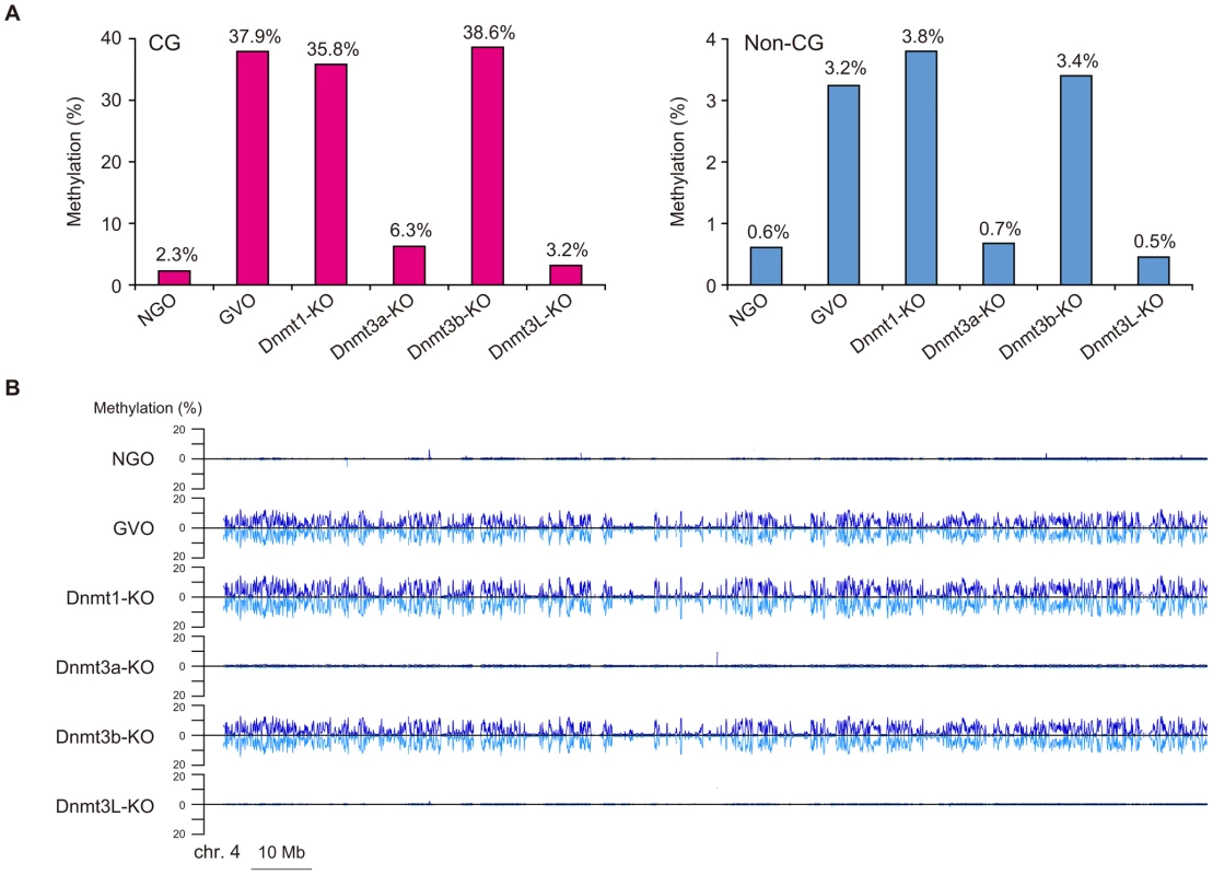 Comparison of the methylomes in NGOs, GVOs, and Dnmt-KO.