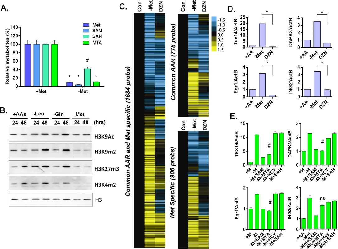 Methionine deprivation reduces the histone methylations.