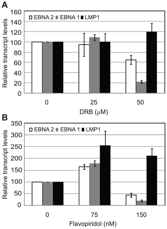 pTEFb inhibitors selectively reduce Cp transcription.