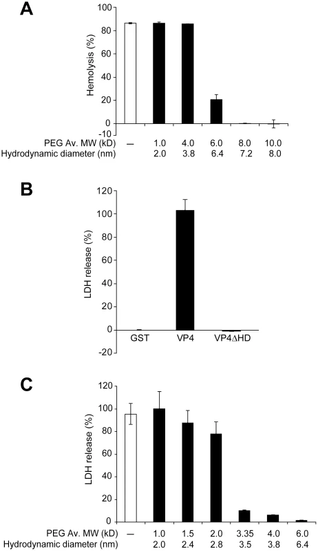 VP4 forms small size selective pores in biological membranes.
