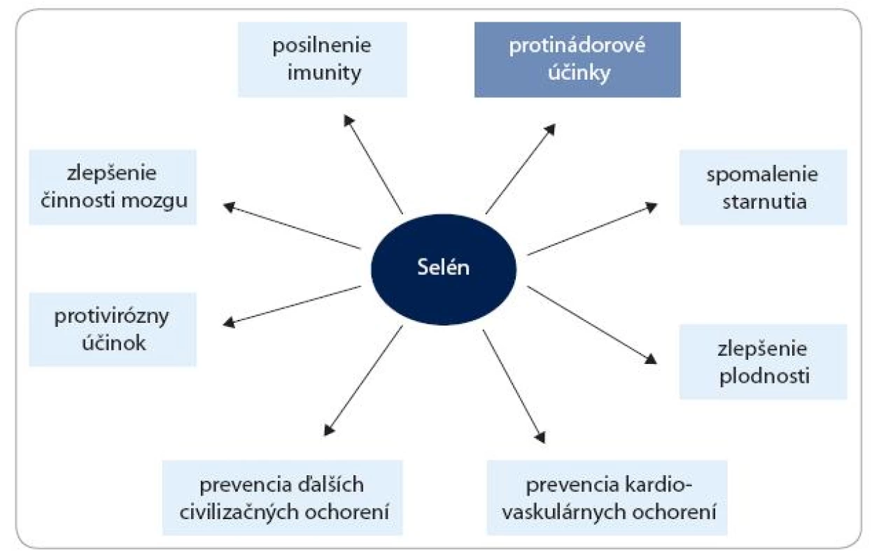 Účinky selénu na ľudské zdravie.