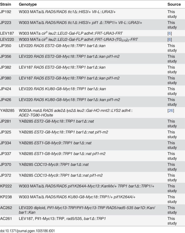 Strains used in this study.