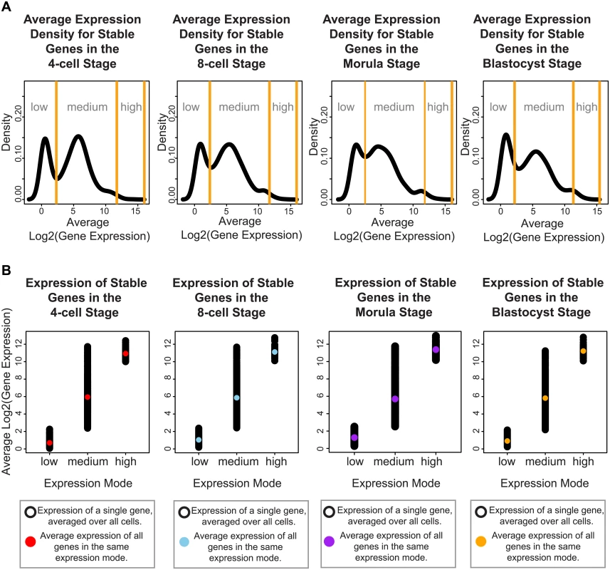 Stable genes can be classified into three distinct modes of expression activity.