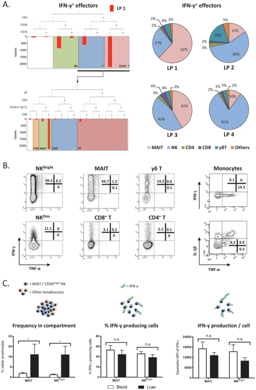 Characterization of intrahepatic immune cell subsets that produce IFN-γ upon TLR8 agonist stimulation.