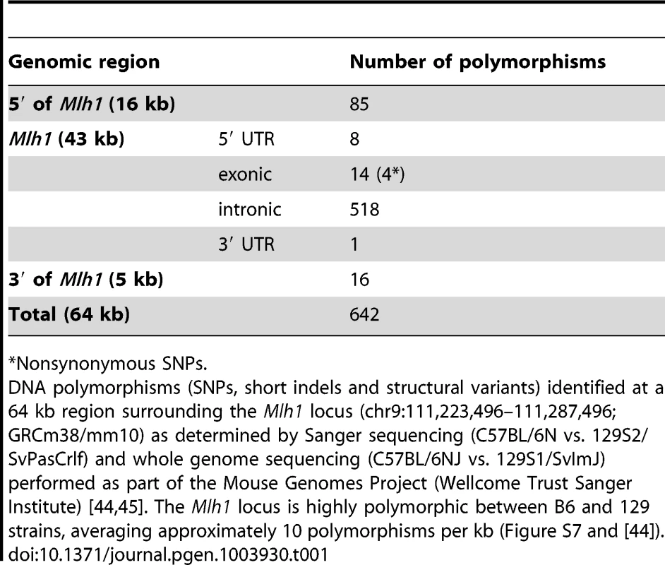The <i>Mlh1</i> locus is highly polymorphic between B6 and 129 strains.