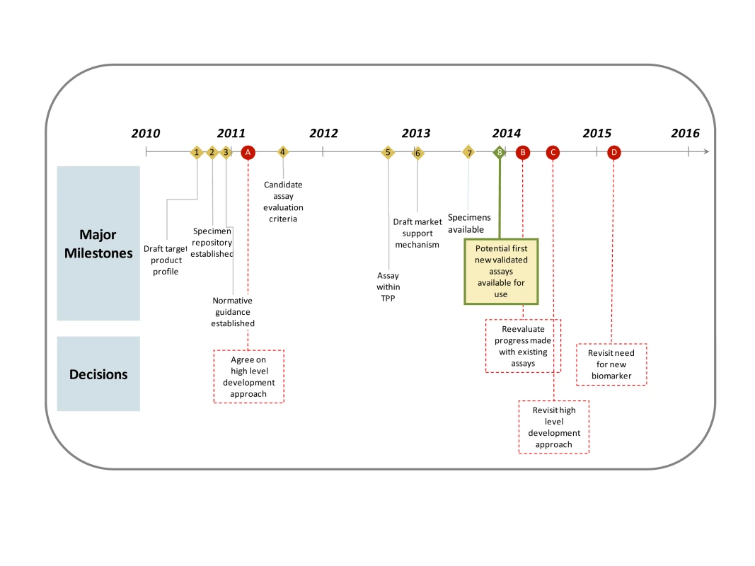 Key milestones and decision points in the critical path over the next 5 years.