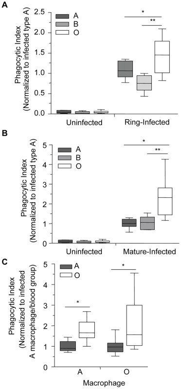 Infected O erythrocytes are phagocytosed more avidly by human macrophages.