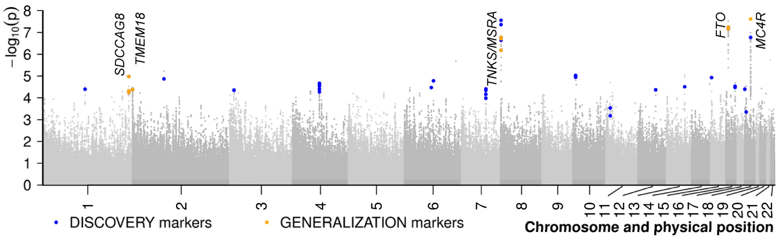 Results of the meta-analysis of two genome-wide association studies for early-onset extreme obesity.