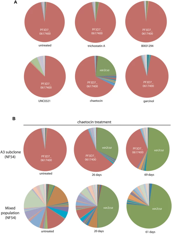 Induction of <i>var2csa</i> expression by treatment with a histone methyltransferase inhibitor.