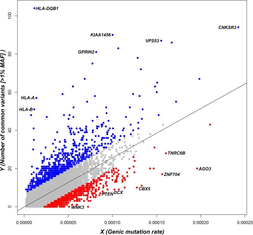 A regression plot that shows the regression of noncoding polymorphisms (Y) on an estimate of the noncoding sequence mutability (X) (<em class="ref">S1 Data</em>).