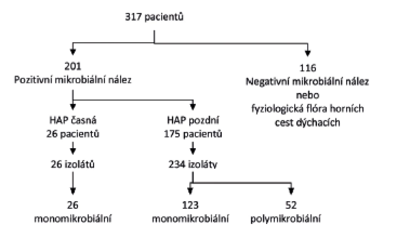 Zařazování pacientů v průběhu studie