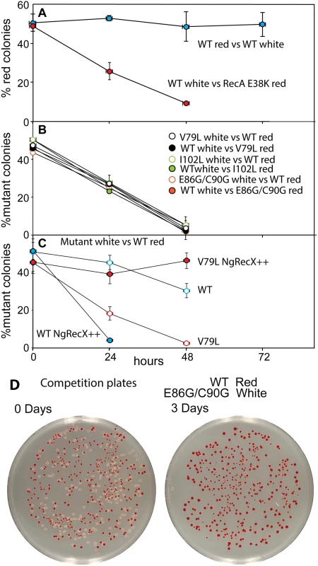 Cell growth competition assays.