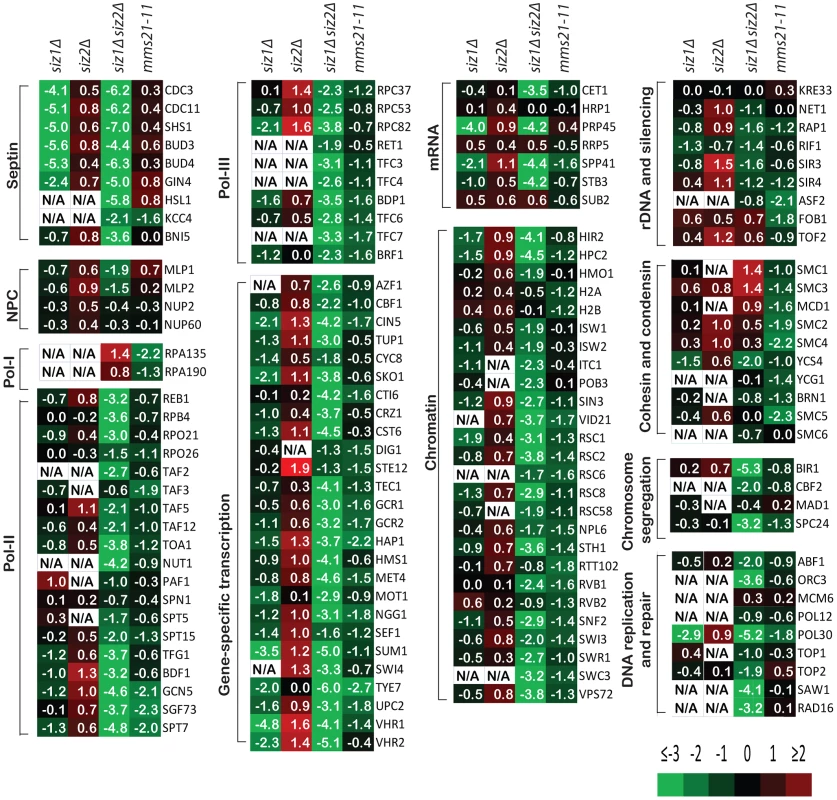 A summary of the effect of SUMO ligase-null mutations on the abundance of SUMO targets as measured by quantitative MS.