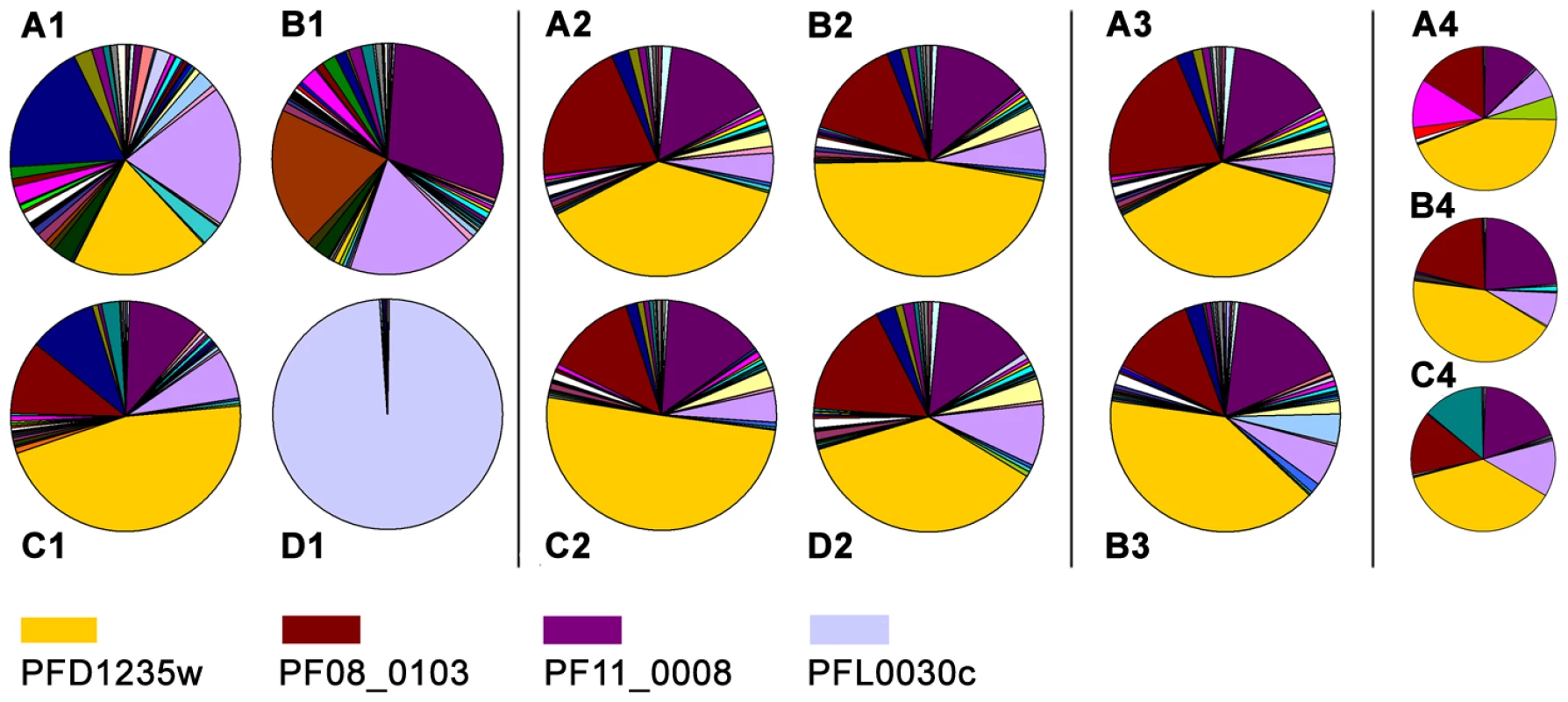 Individual <i>var</i> gene transcripts relative to the total <i>var</i> transcript copy number in ring-stage IE.