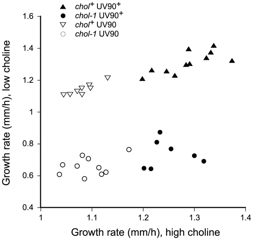 Segregation of growth rates.